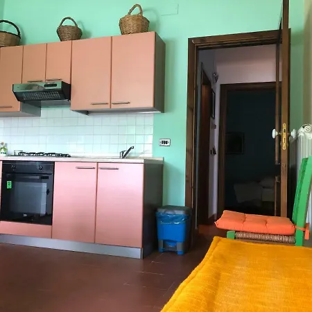 House Bassotto